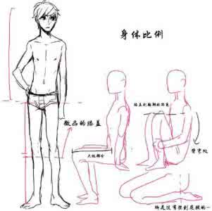 详细讲解牡丹花的画法 非常详细讲解的画法