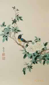 工笔花鸟画 工笔花鸟画 【天狼收藏】工笔花鸟综合集锦(05)