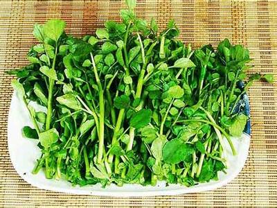 常吃1种菜永远不得癌 三种菜常吃能救命