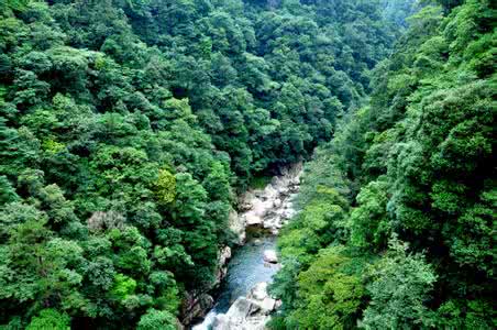 武夷山自然保护区门票 武夷山自然保护区