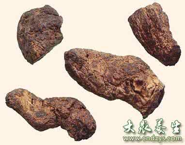 蜜麸炒白芍 熟地黄的功效与作用 蜜麸炒白芍的功效与作用