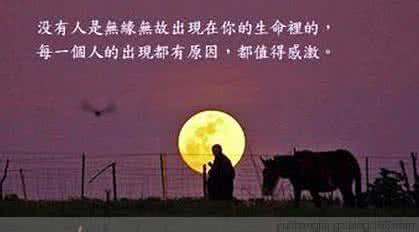 佛说你遇到的每一个人 没有人无缘无故出现在你的生命里