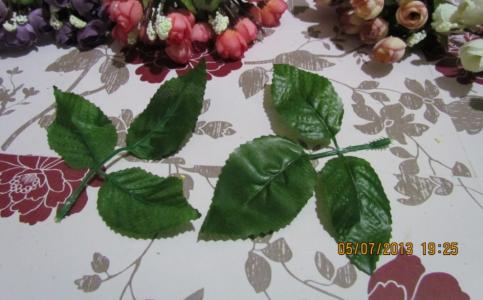 根茎叶花果实种子 创意手工----“七叶花”