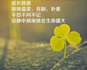 澄净心曲 用阳光的心,还自己一片澄净天