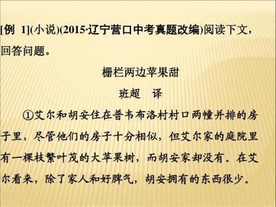 中考记叙文专题复习题(四)参考答案