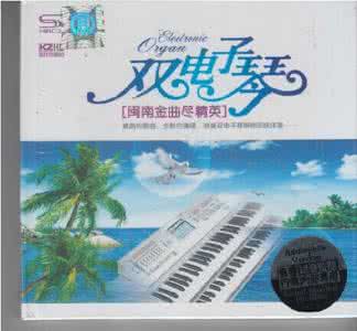 经典闽南双电子琴歌曲 浪漫雙電子琴閩南金曲盡精英 2CD