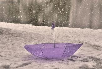 菩提泪 青莲雪 修得净土，菩提青莲