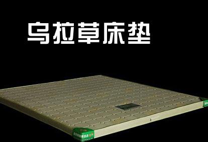 乌拉草床垫 乌拉草床垫 乌拉草床垫的特点 乌拉草床垫有什么功效