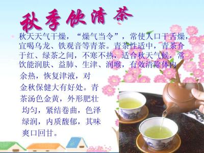 茶艺师基础知识教程 茶艺知识 茶艺基本知识教程