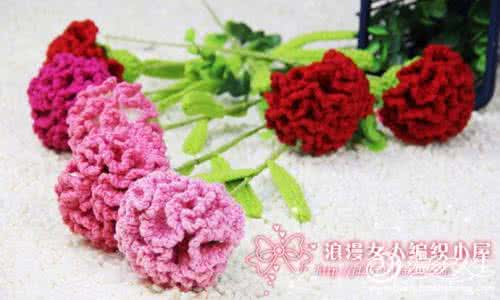 永不凋谢的花 永不凋谢的花 永不凋谢的花 钩编康...