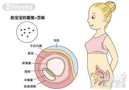 胎儿晚上爱动是男是女 女性孕期的第一个信号居然能判断胎儿是男是女？