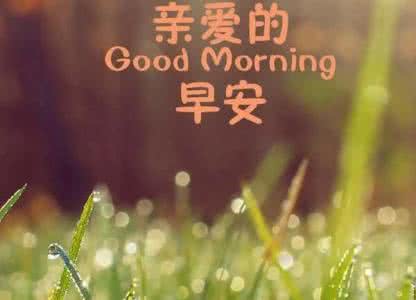 早安心语 早安心语：缘深缘浅，早有分晓