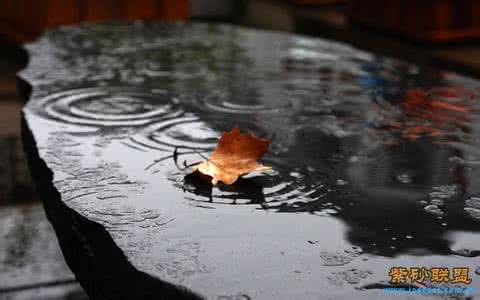 听雨弄墨观书品茶篆书 听雨品茶闲开卷