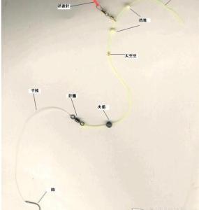 钓鱼线怎么绑到钓竿上 钓鳊鱼选择鱼线、鱼钩、钓竿的方法