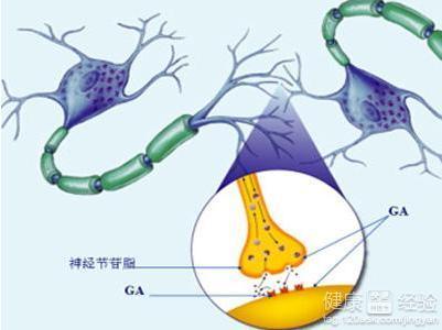 周围神经炎治疗方法 周围神经炎       治疗和预防方法