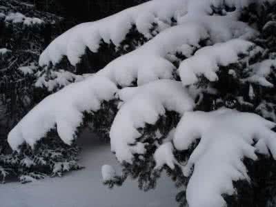 雪的雅称 雪的雅称，你所不知道的“雪”