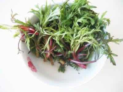 常吃的野菜 甘肃人最常吃的五大野菜 亿万富豪念念不忘