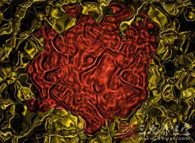 保肝养肝喝什么茶 木瓜保肝养肝的5种神效【图】