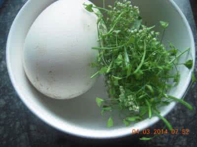 荠菜花煮鹅蛋 荠菜煮水喝有什么功效 荠菜花煮鹅蛋的功效是什么