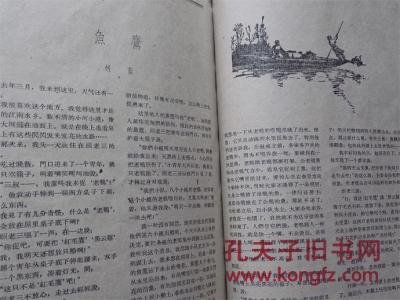 孤岛文学 柯灵与“孤岛”报纸文学
