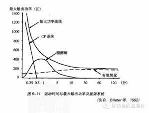 有氧运动和无氧运动 无氧和有氧运动本质区别——供能系统比重