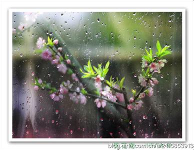 淡淡烟雨淡淡愁的全诗 雨-淡淡的