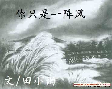 你的心却像是一阵风 你是一阵风，拂过我的心