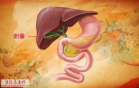 胆囊炎养生粥 养生:常被忽略的胆囊