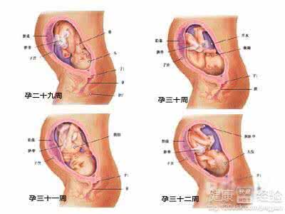 怀孕前期有什么症状 怀孕前有什么症状 怀孕前的症状