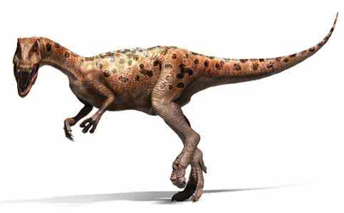 理理恩龙和双脊龙 理理恩龙