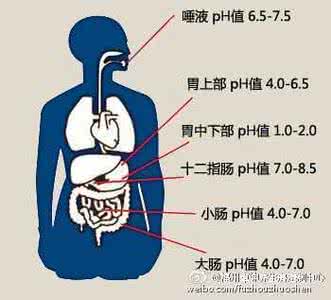 酸碱平衡的调节 日常蔬果养生秘籍——调节酸碱平衡