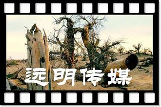 中文用叹词造句 中文叹词大全