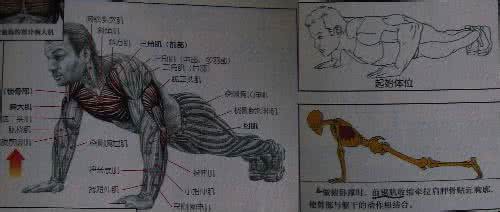 轨迹拳 我对轨迹拳的一点体会