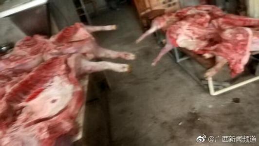 猪肉销售渠道 收购销售病毒猪肉60吨
