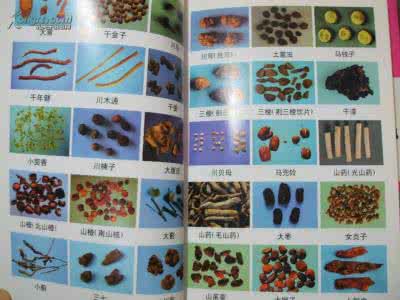 中药师考试宝典 【中药宝典】《300多种中药的功效和用法》一览表,让你一目了然!