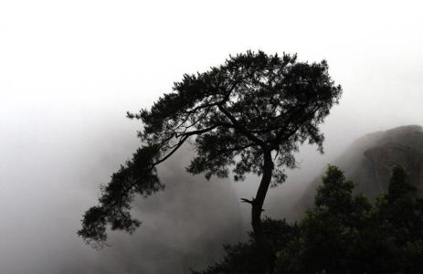 网名诗意唯美带醉心 美到醉 诗意美景