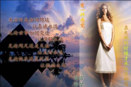 失眠的感觉 有一种感觉总在失眠时，才承认是“相思”；有一种缘分总在梦醒后，才相信是“永恒”；有一种目光总在分手时，才看见是“眷恋”；有一种心情总在离别后，才明白是“失落”。