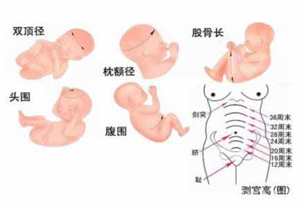 胎儿双顶径偏小 39周胎儿双顶径偏小怎么办