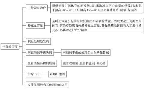 休克的治疗原则 休克的治疗原则 休克的治疗原则