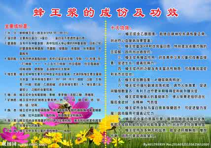 寻蜜源 寻蜜源 寻蜜源知识讲堂——蜂王浆
