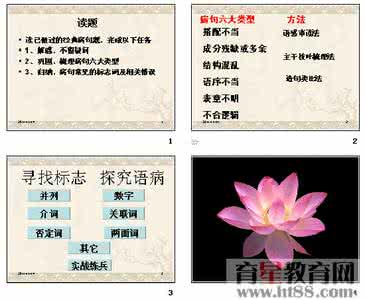 语病 语病经典探究