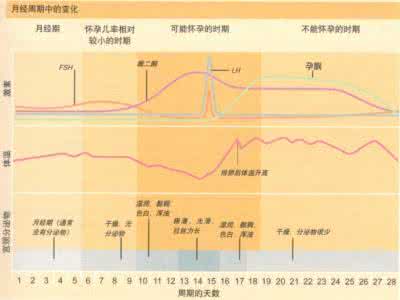 输卵管不通有无排卵 怎么知道有无排卵?