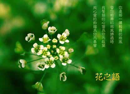 春天心情语录 春天心情语句