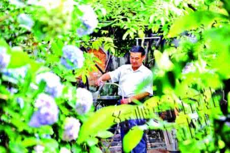 张真上海花花草草影视 给花花草草浇水，你真的会吗？