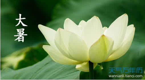 大暑节气如何养生 关于大暑节气养生短信大全