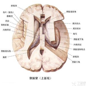 脑梗引起的肢体麻木 脑梗后肢体麻木原因？