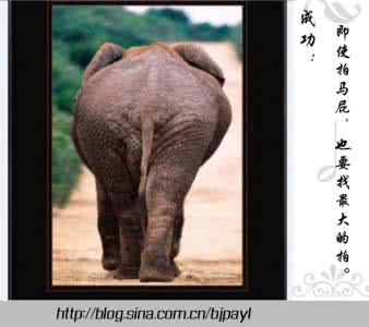 拍马屁 成功:即使拍马屁,也要找最大的拍