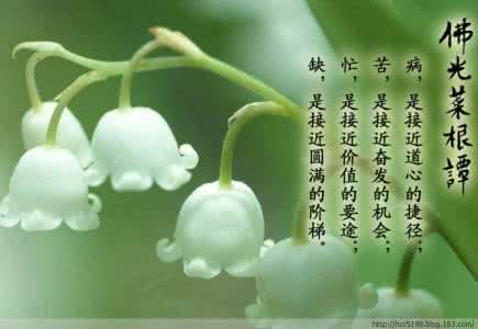 凤凰大视野全部视频 视频片 家庭保健大视野【96部讲座】 一