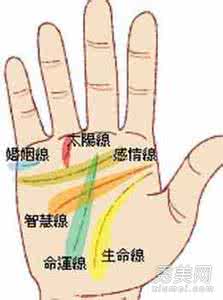 手机号周易运势测吉凶 看掌纹预知运势吉凶