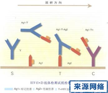 艾滋病病毒抗体检测 艾滋病病毒抗体检测 艾滋病病毒的检测方法